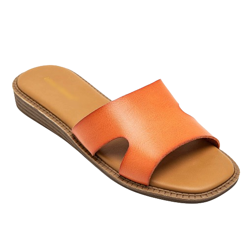 https://accessoiresmodes.com//storage/photos/1069/CHAUSSURES ID/orange_1-removebg-preview.png